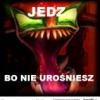 surviorek20