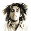 donRasta