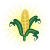 Kukurydz