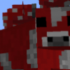 VVezion