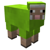 DUKE
